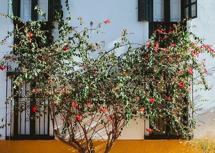Hacienda Clavero Five Deluxe * Malaga